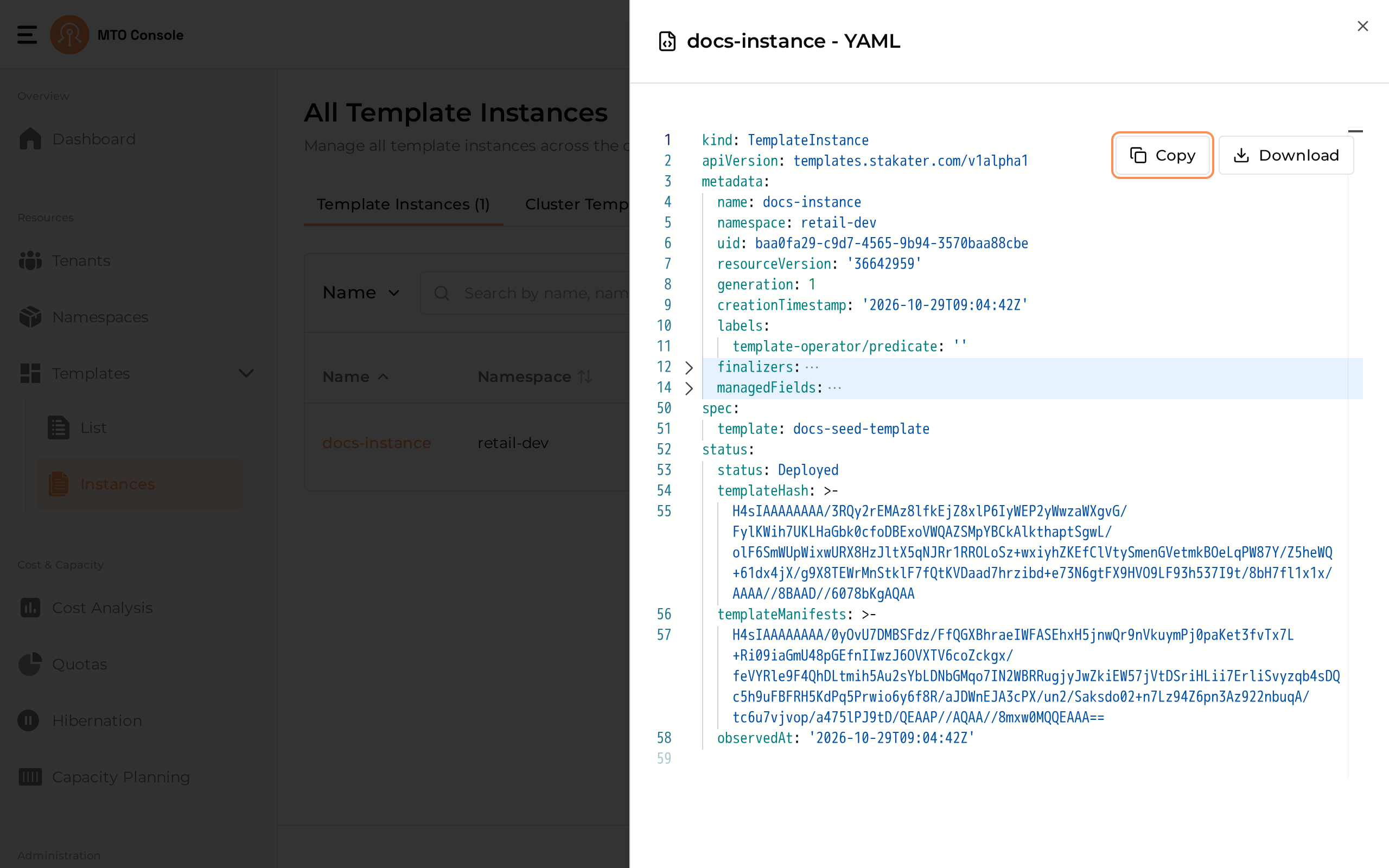 The YAML view of a Template Instance