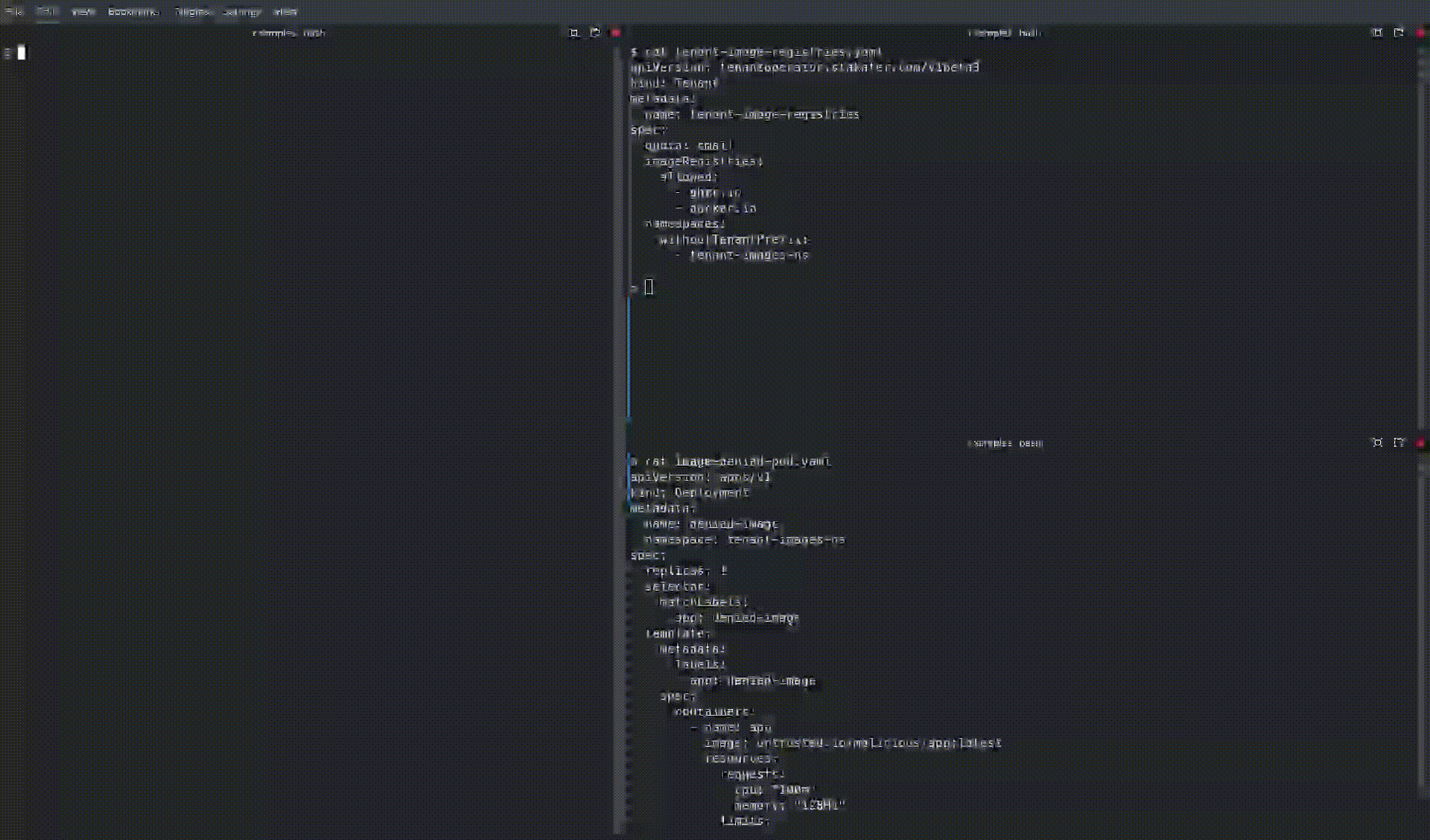 Image Registry Validation